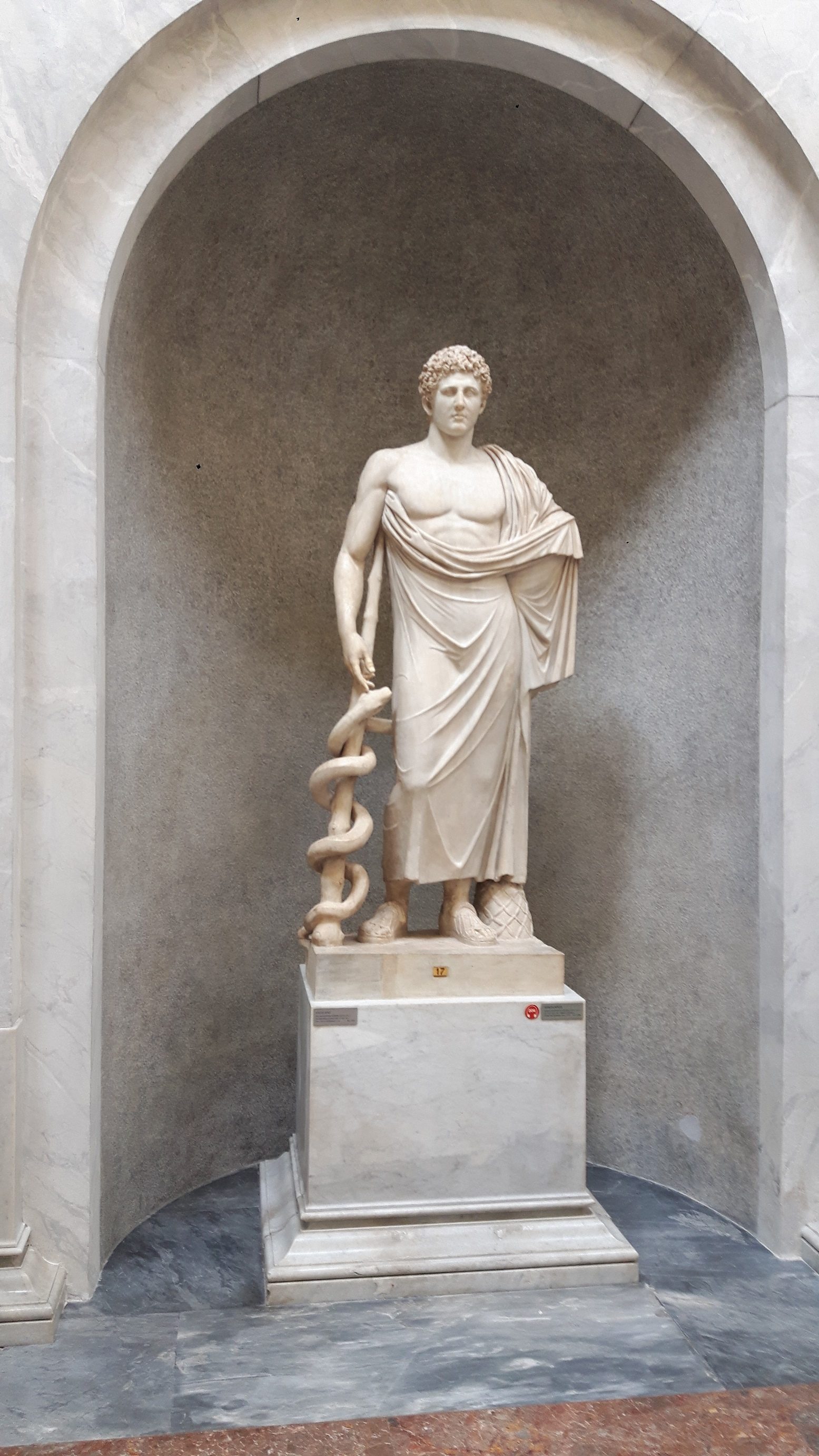 Asclepius statue, Vatican Museums (by Luca Borghi) (1).jpg